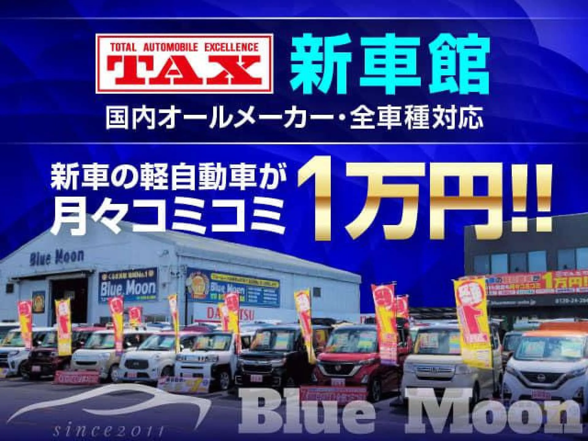 会社案内｜株式会社ブルームーン