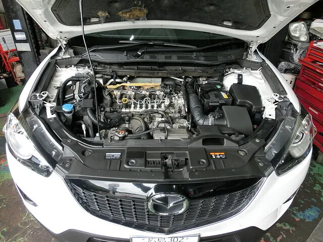CX-5　煤除去作業