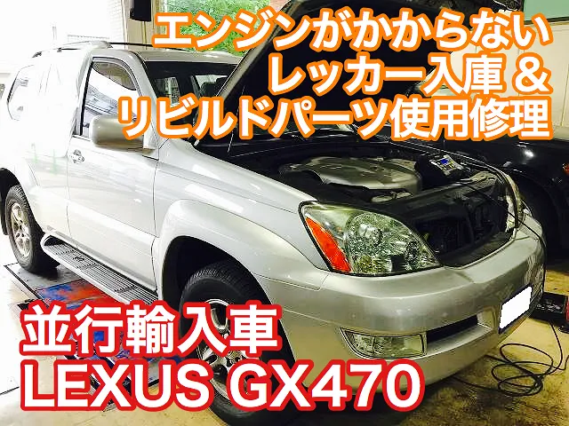 品質検査済 GX470様専用ページ ドレス | casadicuranobili.it