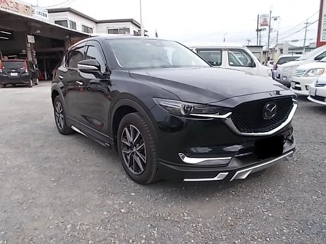 CX-5  ウォータースポット除去・コーティング