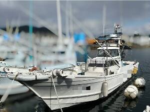 ヤマハ　漁船　DY-45G　美船！